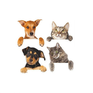 Dog Cat Wall Sticker